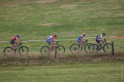20170624-groesbeek-cat5-8148
