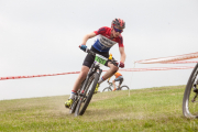 20170624-groesbeek-cat7-8364