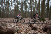 oldebroek-cat5-9916