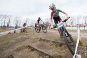 oldebroek-cat6-9966