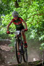 beesel-cat7-2010