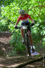 beesel-cat7-2013
