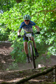 beesel-cat7-2015
