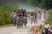 ljc-dirtyhill-cat5-4181