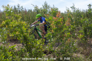 ljc-dirtyhill-cat5-4195