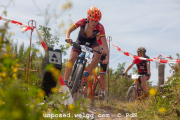 ljc-dirtyhill-cat5-4268