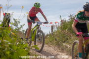 ljc-dirtyhill-cat5-4294