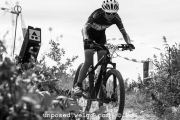 ljc-dirtyhill-cat5-bw-4301