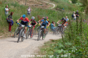 ljc-dirtyhill-cat5-bw-4337