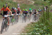 ljc-dirtyhill-cat5-bw-4343