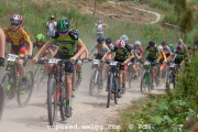 ljc-dirtyhill-cat5-bw-4346
