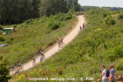 ljc-dirtyhill-cat5-bw-4378