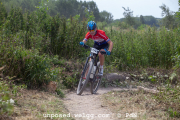 ljc-dirtyhill-cat5-bw-4382