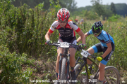 ljc-dirtyhill-cat5-bw-4406
