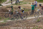 ljc-dirtyhill-cat5-bw-4485