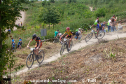 ljc-dirtyhill-cat5-bw-4507