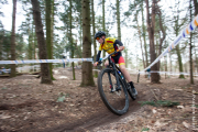 20190323-cat5-9591