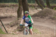 20190406-cat6-7621