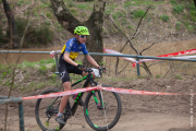 20190406-cat6-7627