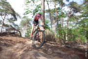 20190525-beesel-cat6-8806
