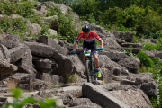 20190622-cat7-spaarnwoude-1056