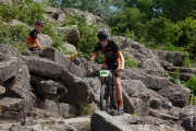 20190622-cat7-spaarnwoude-1075
