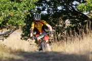 2019-09-14-westenschouwen-3070