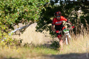 2019-09-14-westenschouwen-3088