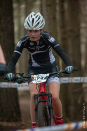 20190323-cat7-9666