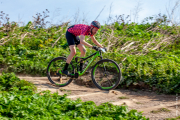 transhoek-6354