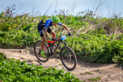 transhoek-6361