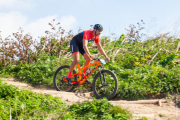 transhoek-6462