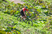 transhoek-6658