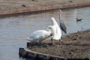 20210918-laak-6990